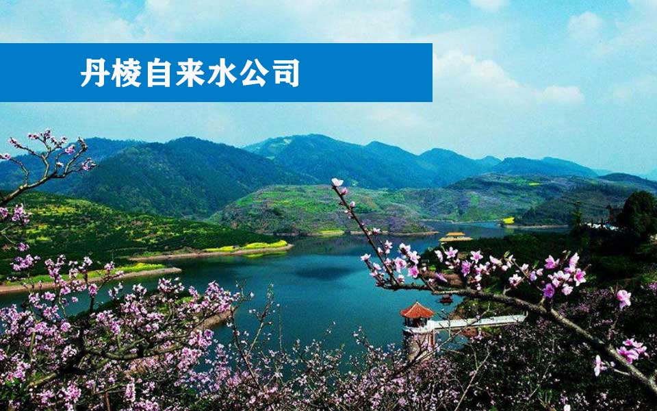 丹棱自来水公司